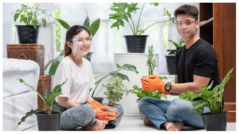 How Trees Improve Your Health, Home, and Environment